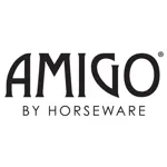 Amigo